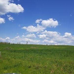 5 items listed at $5.00 for $20